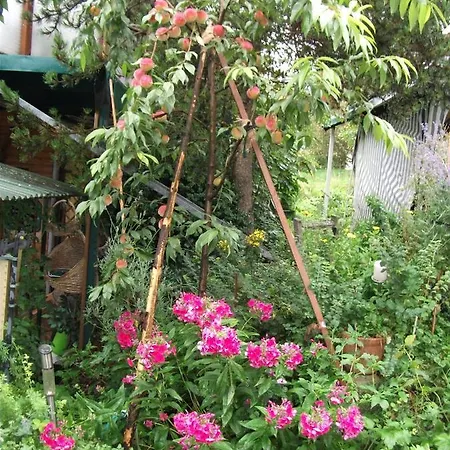 Ferienwohnung Krottensee Gmunden