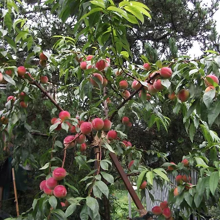 Ferienwohnung Krottensee Apartamento *