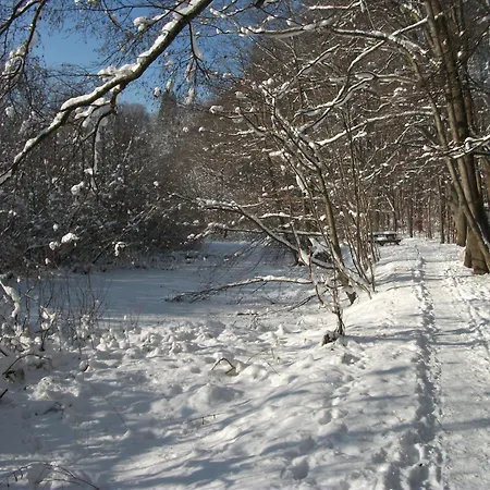 Ferienwohnung Krottensee * גמונדן