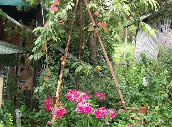 Ferienwohnung Krottensee غموندين